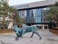 5월 IPO 시장…"대어급 없이 중소형 중심 진행"